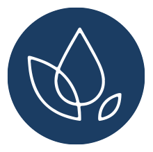 Icon Mindful Leadership: eine Pflanze keimt (weiße Strichzeichnung auf dunkelblauem Kreis)
